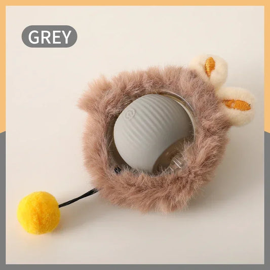 PurrPlay ™ Cat Toy