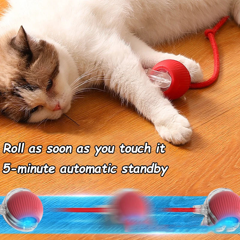 PurrPlay ™ Cat Toy