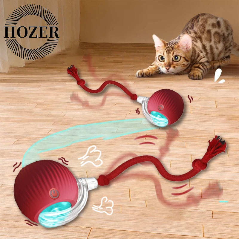 PurrPlay ™ Cat Toy