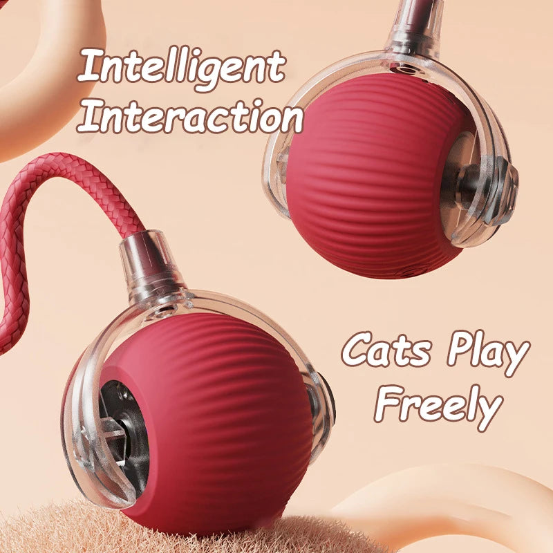 PurrPlay ™ Cat Toy