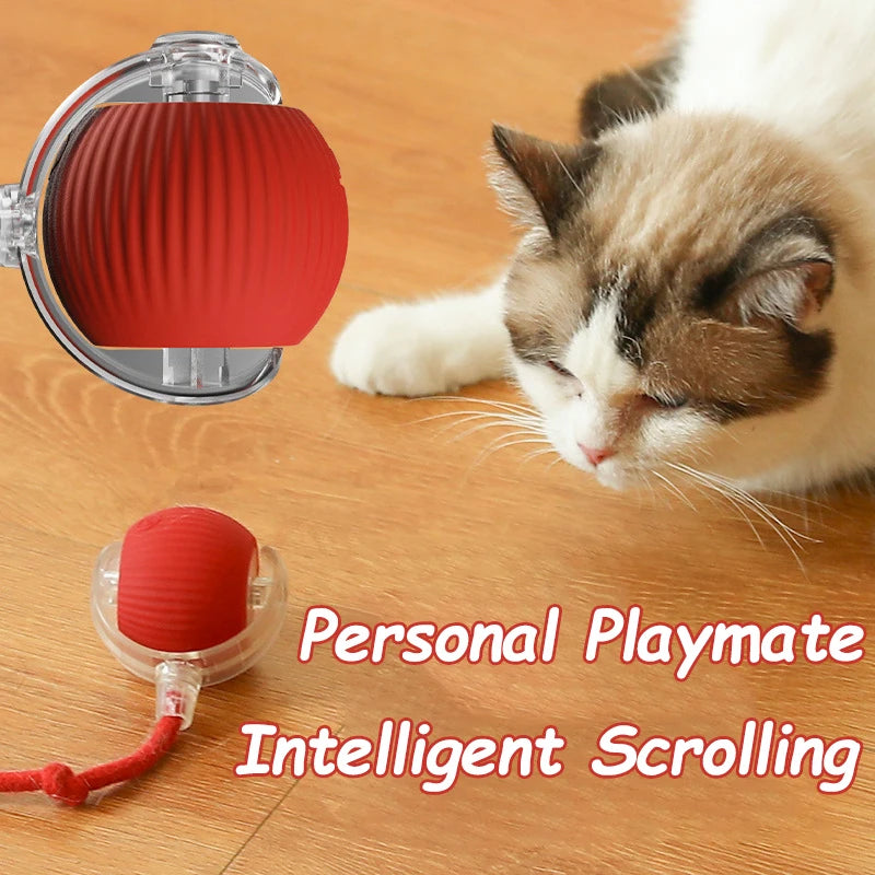 PurrPlay ™ Cat Toy